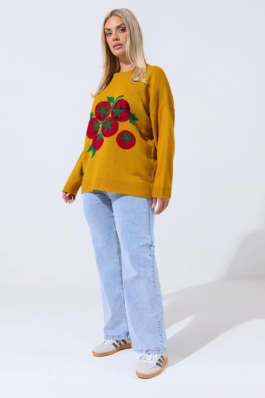Evans LIMITED COLLECTION Curve Yellow Tomato Knitted Jumper