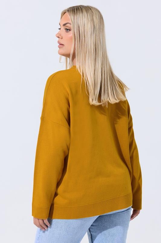 Evans LIMITED COLLECTION Curve Yellow Tomato Knitted Jumper