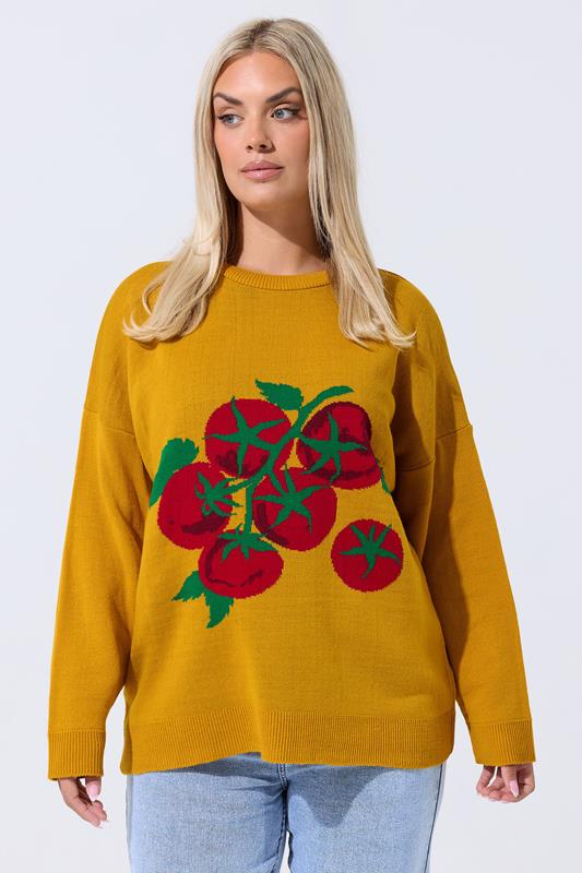 evans LIMITED COLLECTION Curve Yellow Tomato Knitted Jumper
