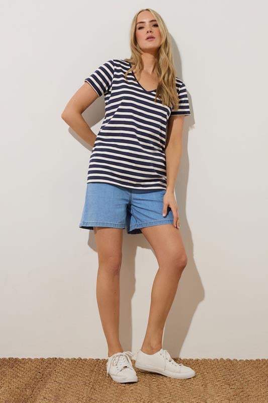 Evans LTS Tall 3 PACK Blue & Pink Stripe V-Neck T-Shirts