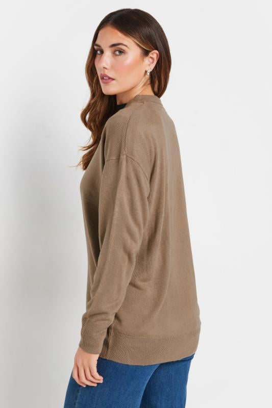 Evans LTS Tall Beige Brown Long Sleeve V-Neck Jumper