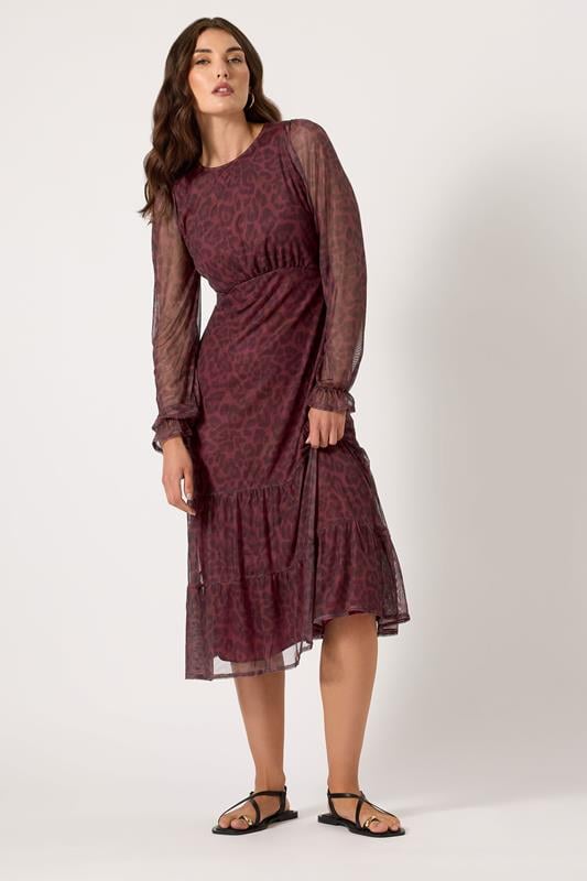 Evans LTS Tall Burgundy Red Mesh Leopard Print Tiered Dress