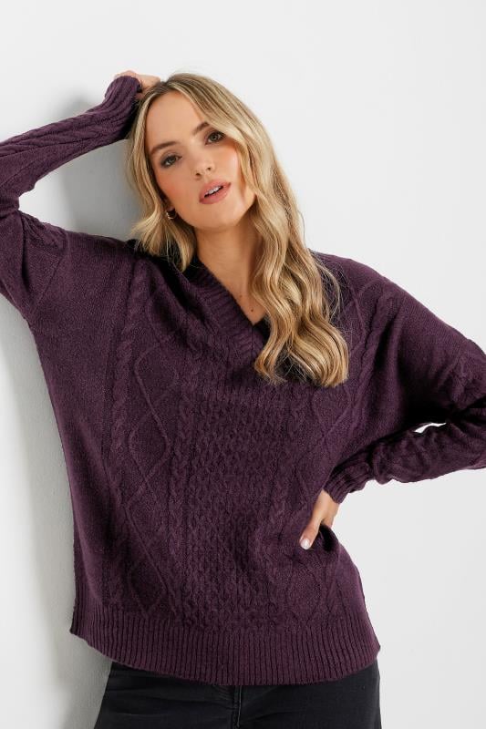 Evans LTS Tall Dark Purple Cable Knit V-Neck Jumper