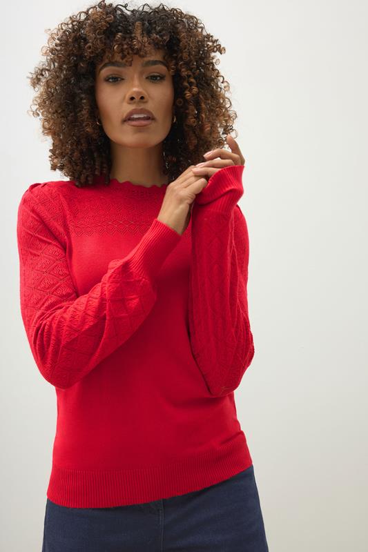 evans M&Co Red Pointelle Long Sleeve Knitted Jumper