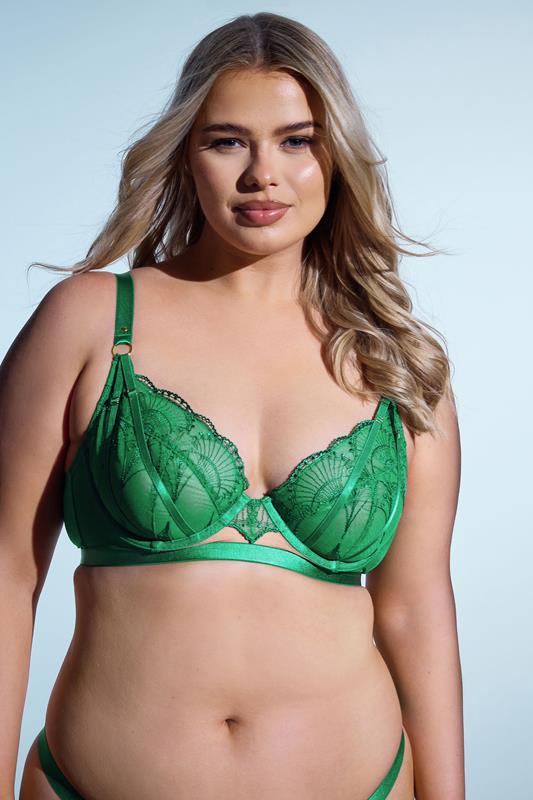 evans PLAYFUL PROMISES Green Lace Embroidered Underwired Bra