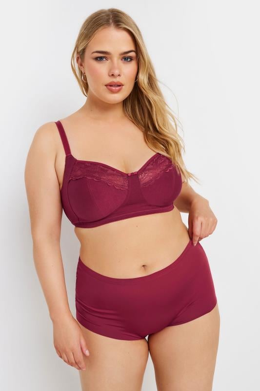 Evans YOURS 3 PACK Curve Red & Purple Lace Back High Waisted Knickers