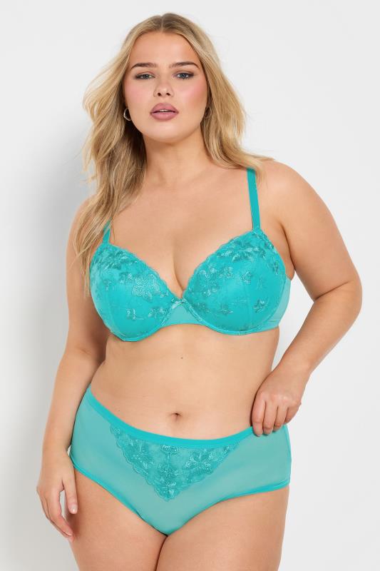 Evans YOURS Curve 2 PACK Blue & White Lace Embroidered Full Briefs