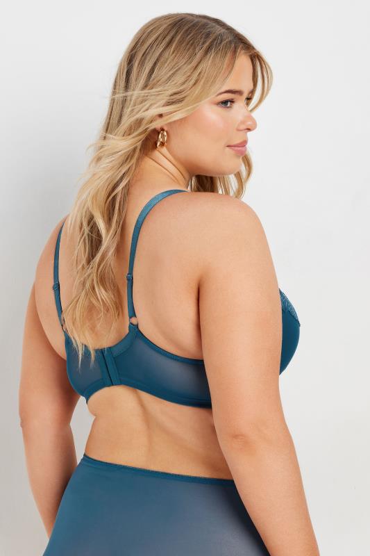 Evans YOURS Curve Green Iridescent Lace Underwired Bra