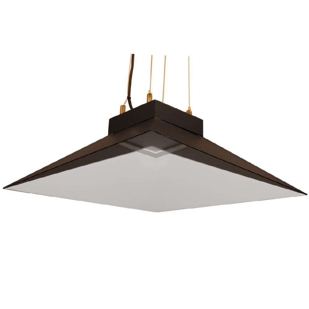 evergreen lights 24669 Indoor Ceiling/Pendant