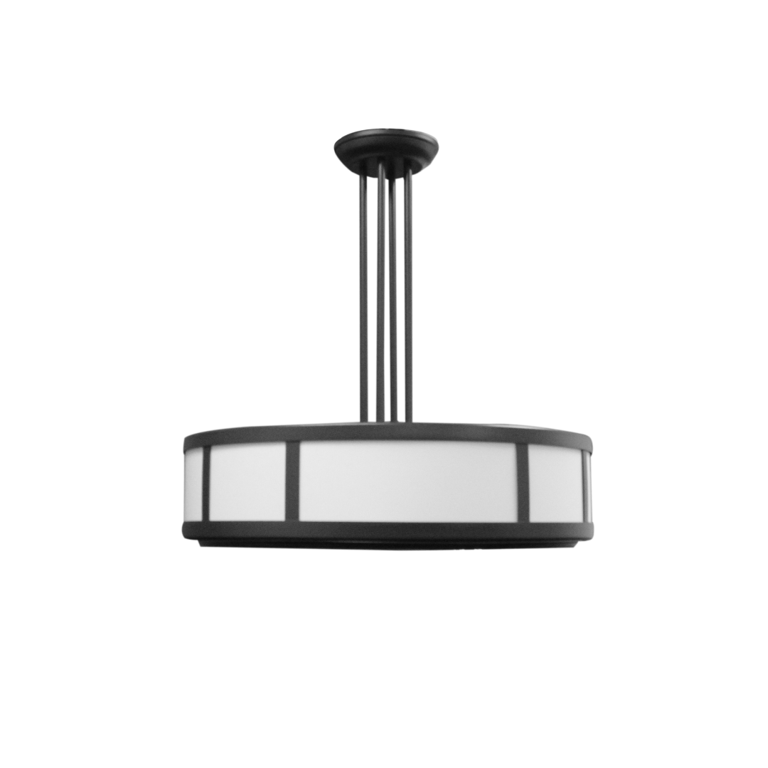 evergreen lights 25407 Indoor Ceiling/Pendant