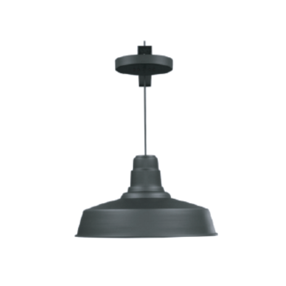 evergreen lights 25526 Indoor Ceiling/Pendant