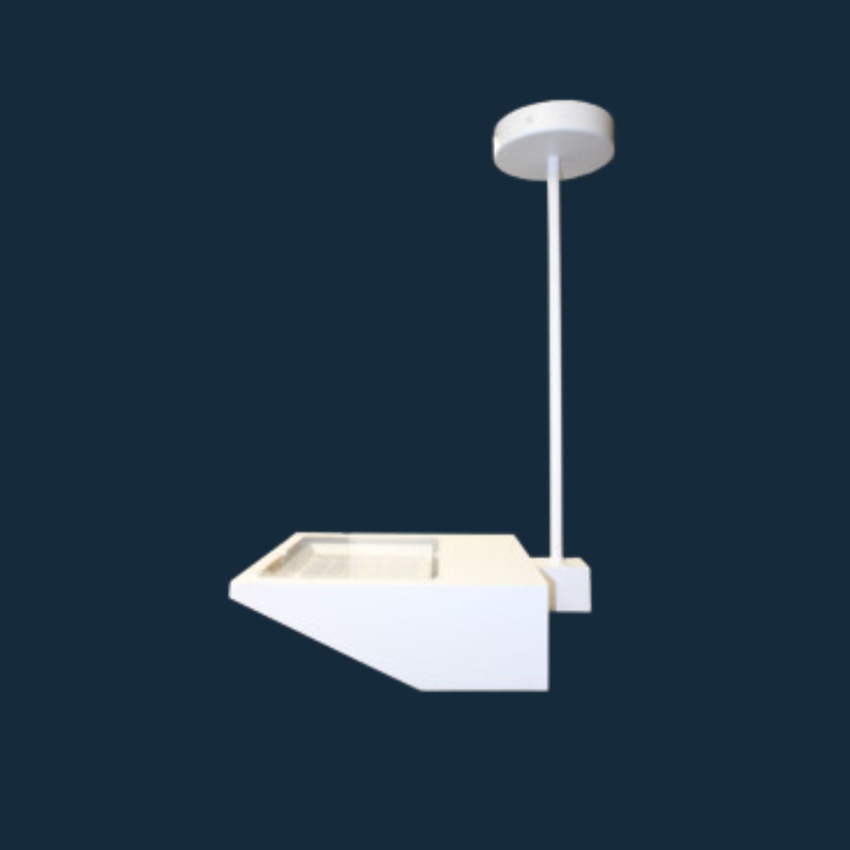 evergreen lights 25728 Indoor Ceiling/Pendant