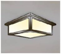evergreen lights 30 Series Flush Outdoor Ceiling