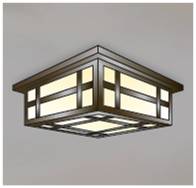 evergreen lights 80 Series Flush Outdoor Ceiling