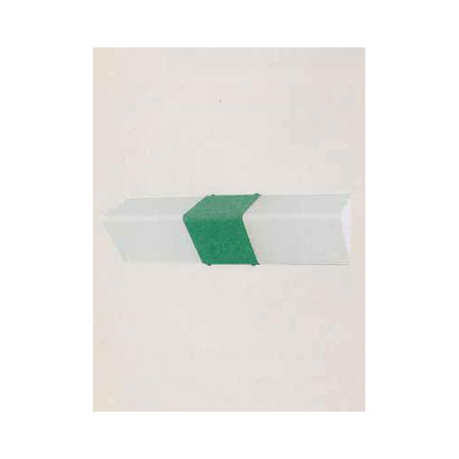 evergreen lights Austin Indoor Walls