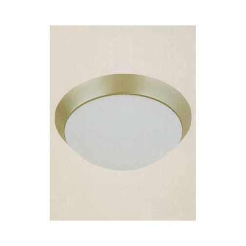 evergreen lights Everest Indoor Ceiling/Pendant