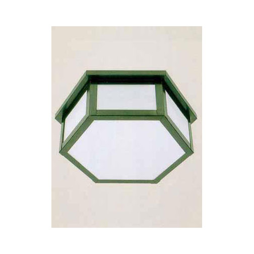 evergreen lights Tucson Indoor Ceiling/Pendant