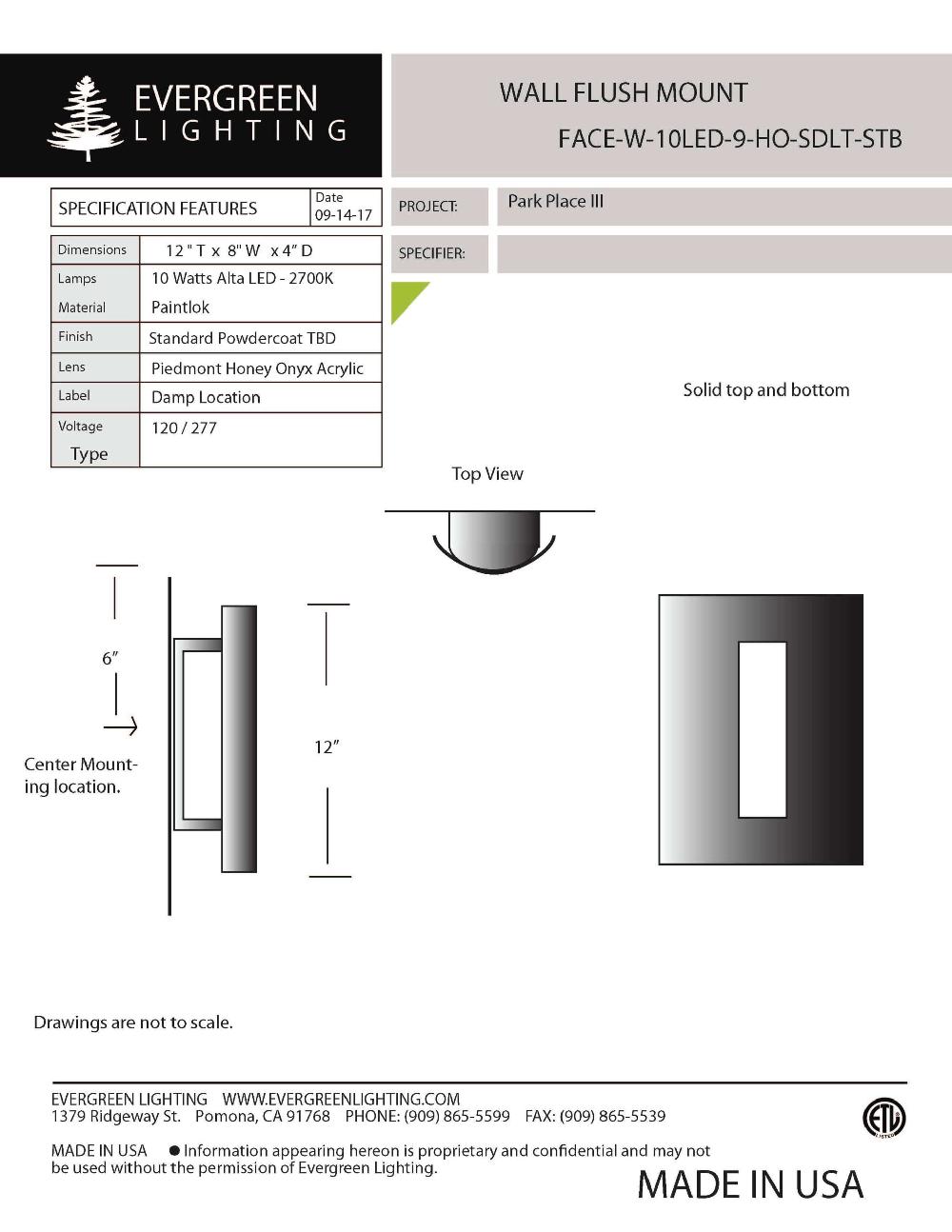 evergreen lights FACE-W-10LED-9-HO-SDLT-STB Indoor Indoor Custom Wall