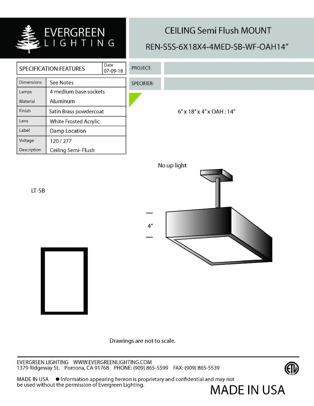 evergreen lights REN-SSS-6X18 OAH 14 Indoor Indoor Custom Ceiling