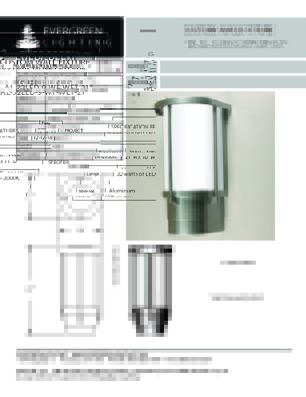 evergreen lights WL-AL-32LED-9-WF-WET-21 Outdoor Custom Wall
