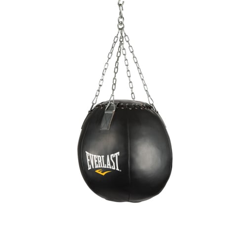 everlast 80lb Wrecking Ball