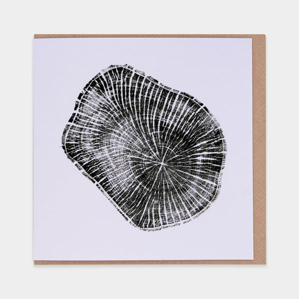 evermade London Plane Tree Ring