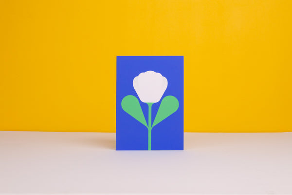 Evermade White Tulip Greetings Card By Giacomo Bagnara
