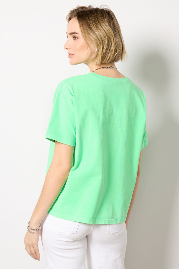 Everve Fiz Valley Vertfluro