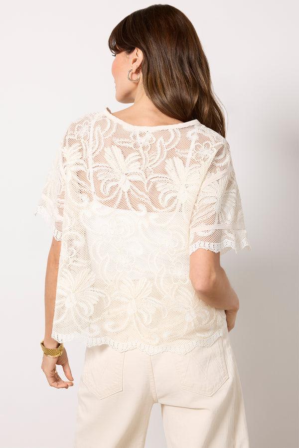 Everve Lily Lace Dolman Sleeve Tee Neutral