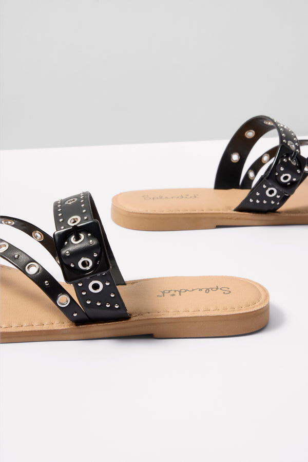 Everve Sutton Slide Black