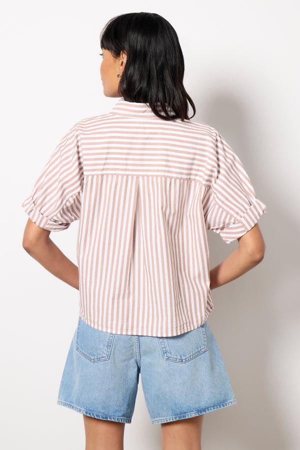 Everve Teddy Shirt Cafe