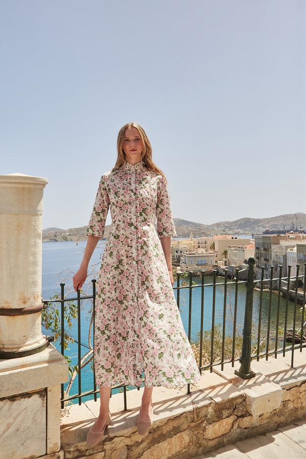 evi grintela Rosie evi grintela Rosie