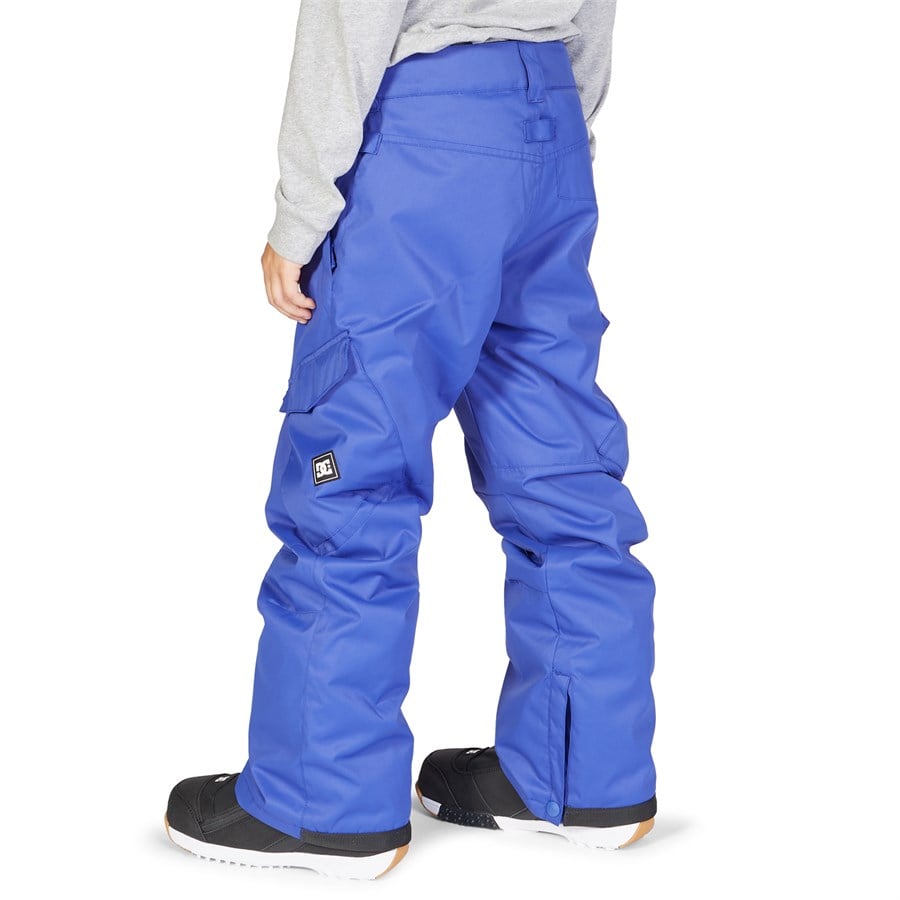 Evo DC Banshee Pants - Boys'