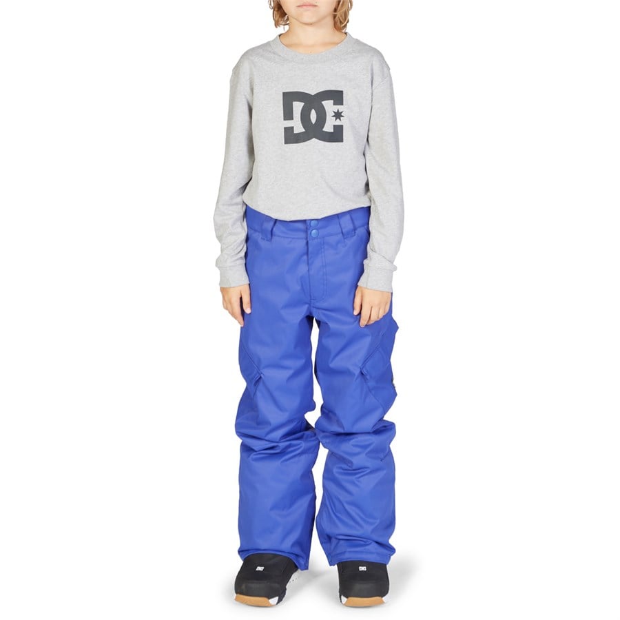 Evo DC Banshee Pants - Boys'