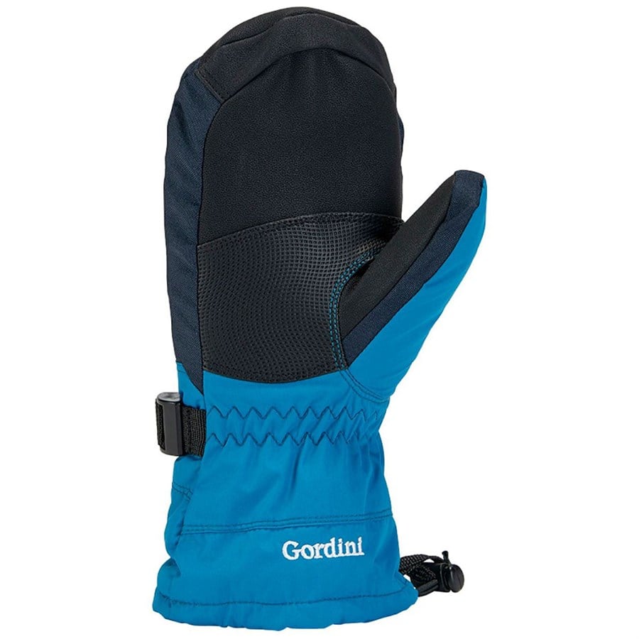 Evo Gordini GORE-TEX Mittens - Kids'