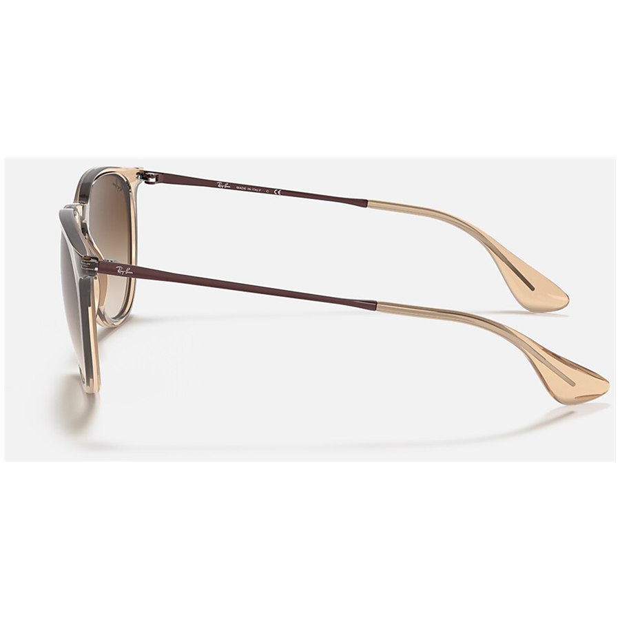 Evo Ray Ban Erika 54 Sunglasses - Women's