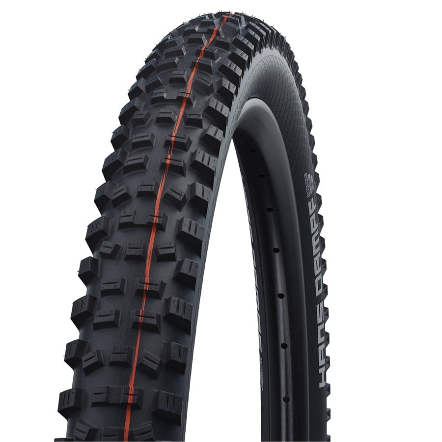 Evo Schwalbe Hans Dampf Tire - 29"