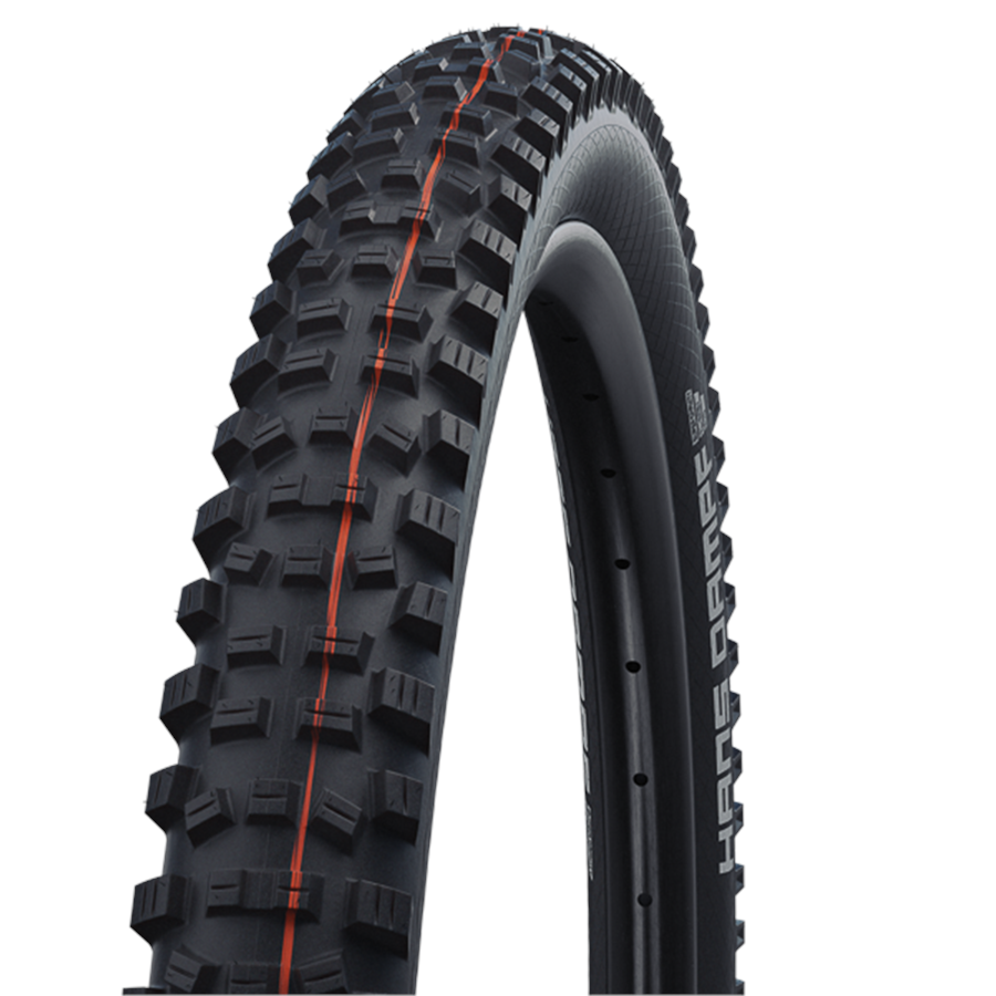 Evo Schwalbe Hans Dampf Tire - 29"