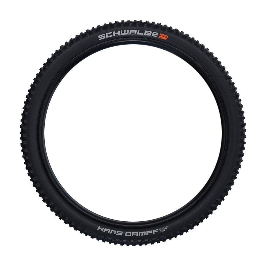 Evo Schwalbe Hans Dampf Tire - 29"