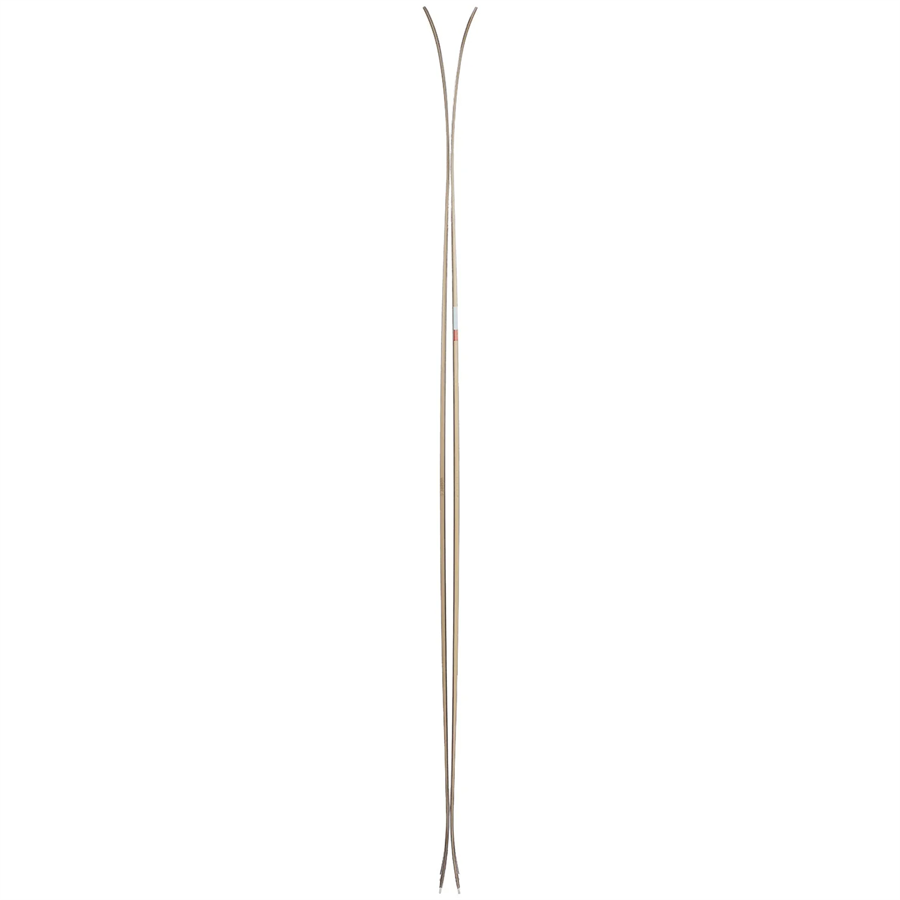 Evo Season Forma Skis 2025