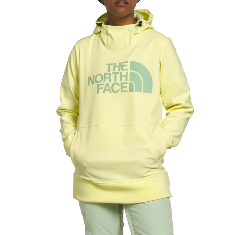 Evo The North Face Tekno Pullover Hoodie - Women's