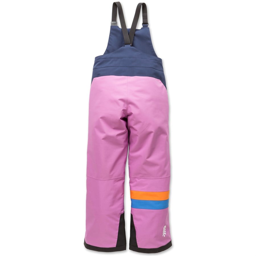 Evo Town Hall Mountain Town Winter Bibs - Kids'
