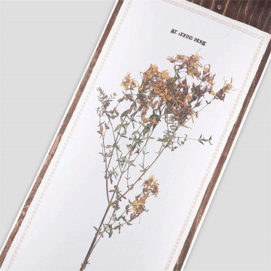 Evo Pass~Port Invasive Species St Johns Wort 8.38 Skateboard Deck
