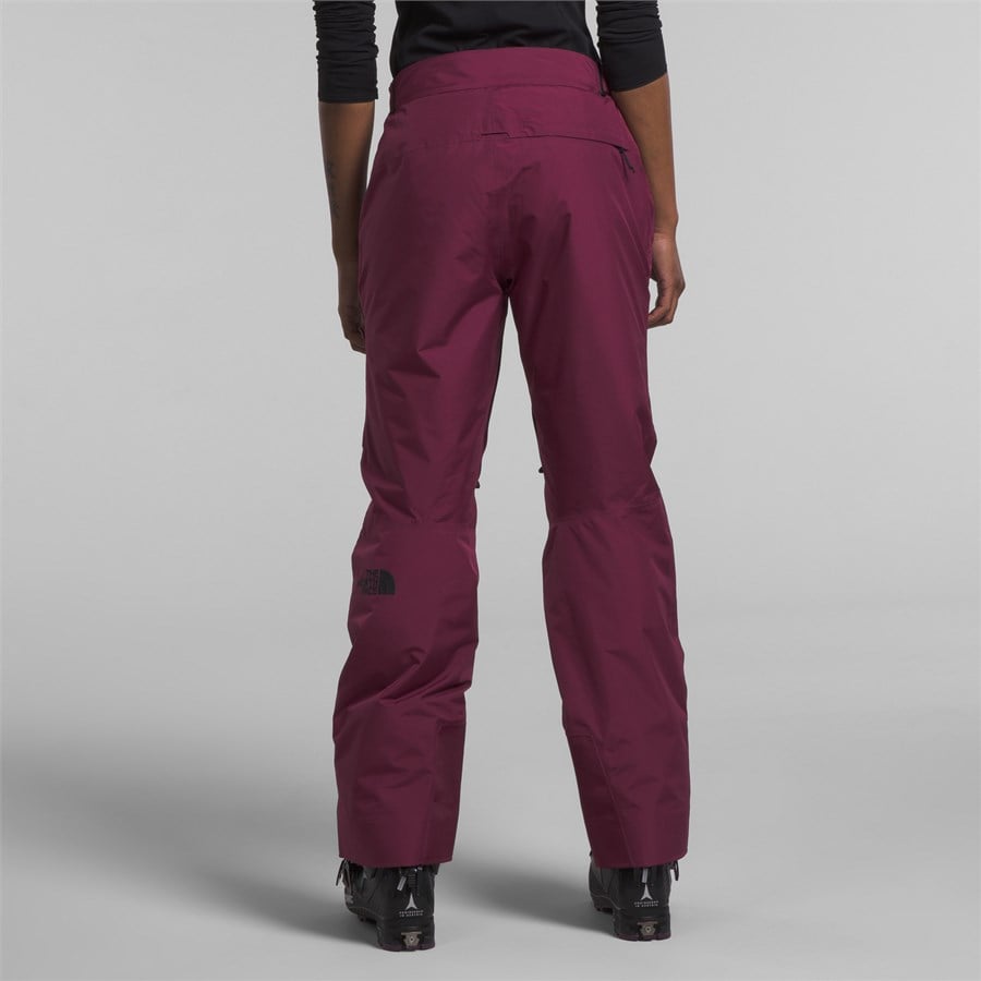 Evo The North Face Dawnstrike GORE-TEX Insulated Pants - Women's