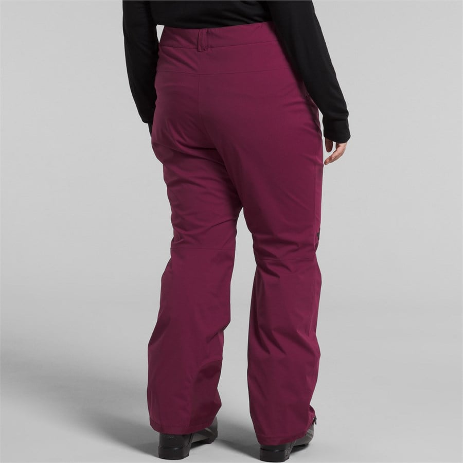 The North Face Freedom Stretch Plus Tall Pants - Women's