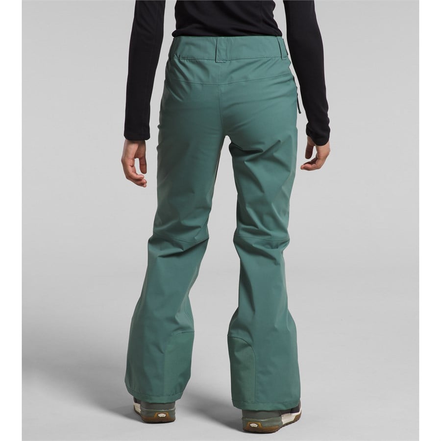 Evo The North Face Freedom Stretch Tall Pants - Women's