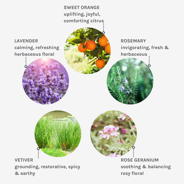 Evolve Organic Beauty Pure Tranquility Hand & Body Duo