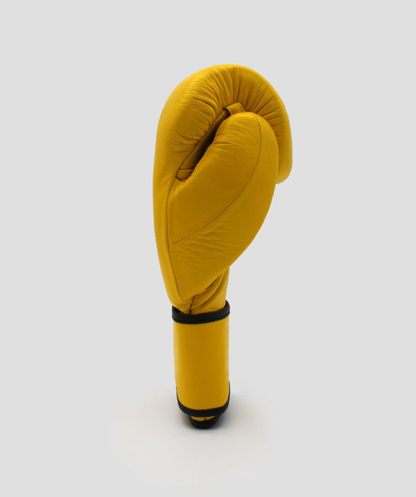 Exit Exigo® F2 Fortis Leather Sparring Gloves - Strap