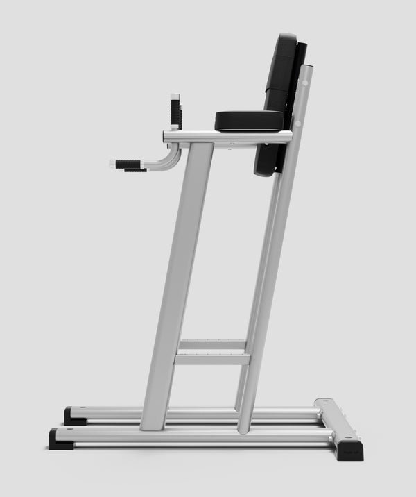 Exit Exigo® Leg Raise / Dip Station