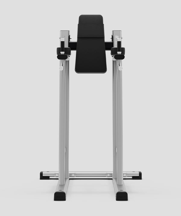 Exit Exigo® Leg Raise / Dip Station